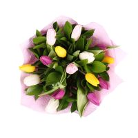 15 разноцветных тюльпанов Санкт-Антон