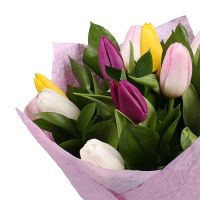 15 разноцветных тюльпанов Дафтер