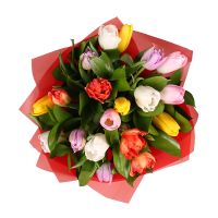 19 різнокольорових тюльпанів Ботнарешти