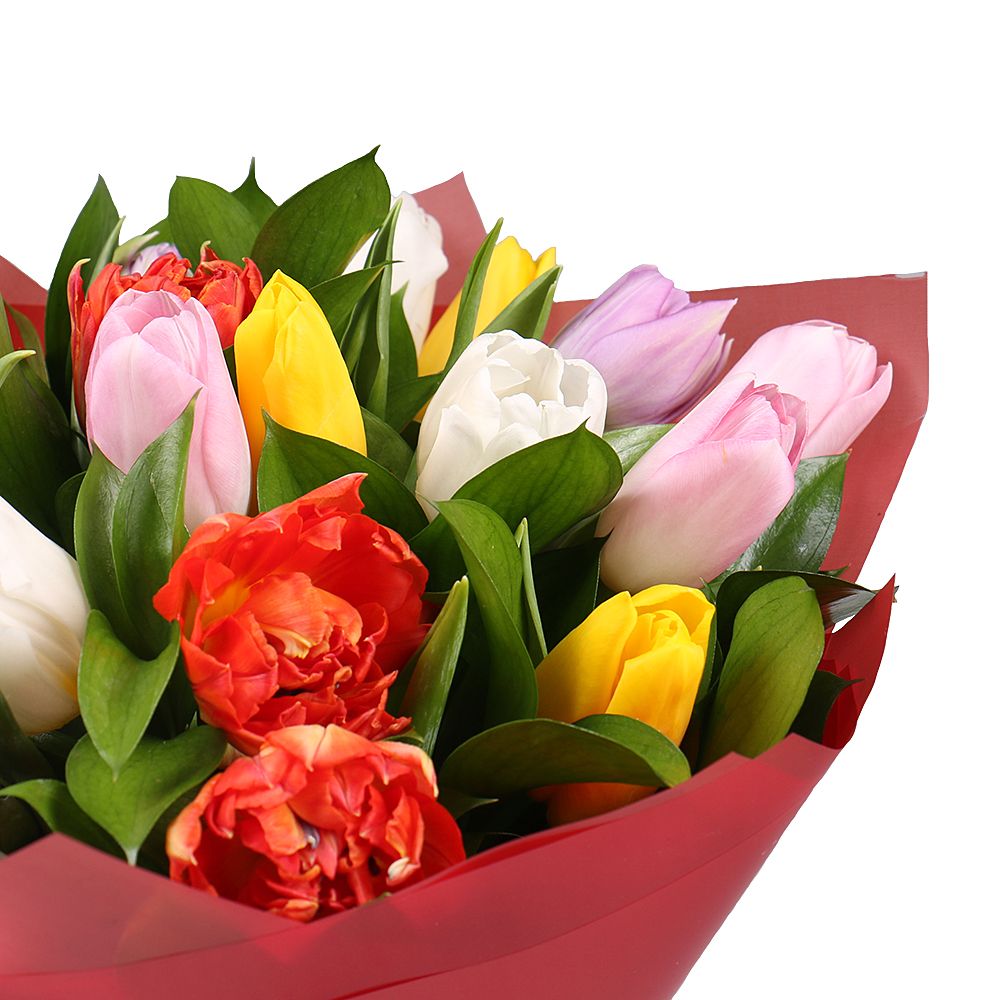 19 разноцветных тюльпанов 19 разноцветных тюльпанов