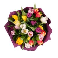 25 multi colored tulips Colombiere