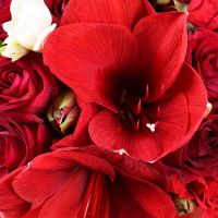 Букет квітів «Amur»  Квінсленд