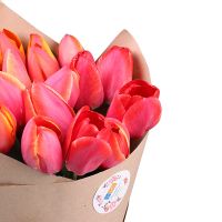 19 red tulips Vienna