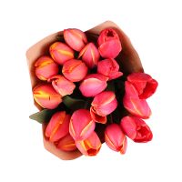 19 red tulips Vienna