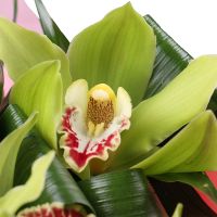 A bouquet with orchid Luban