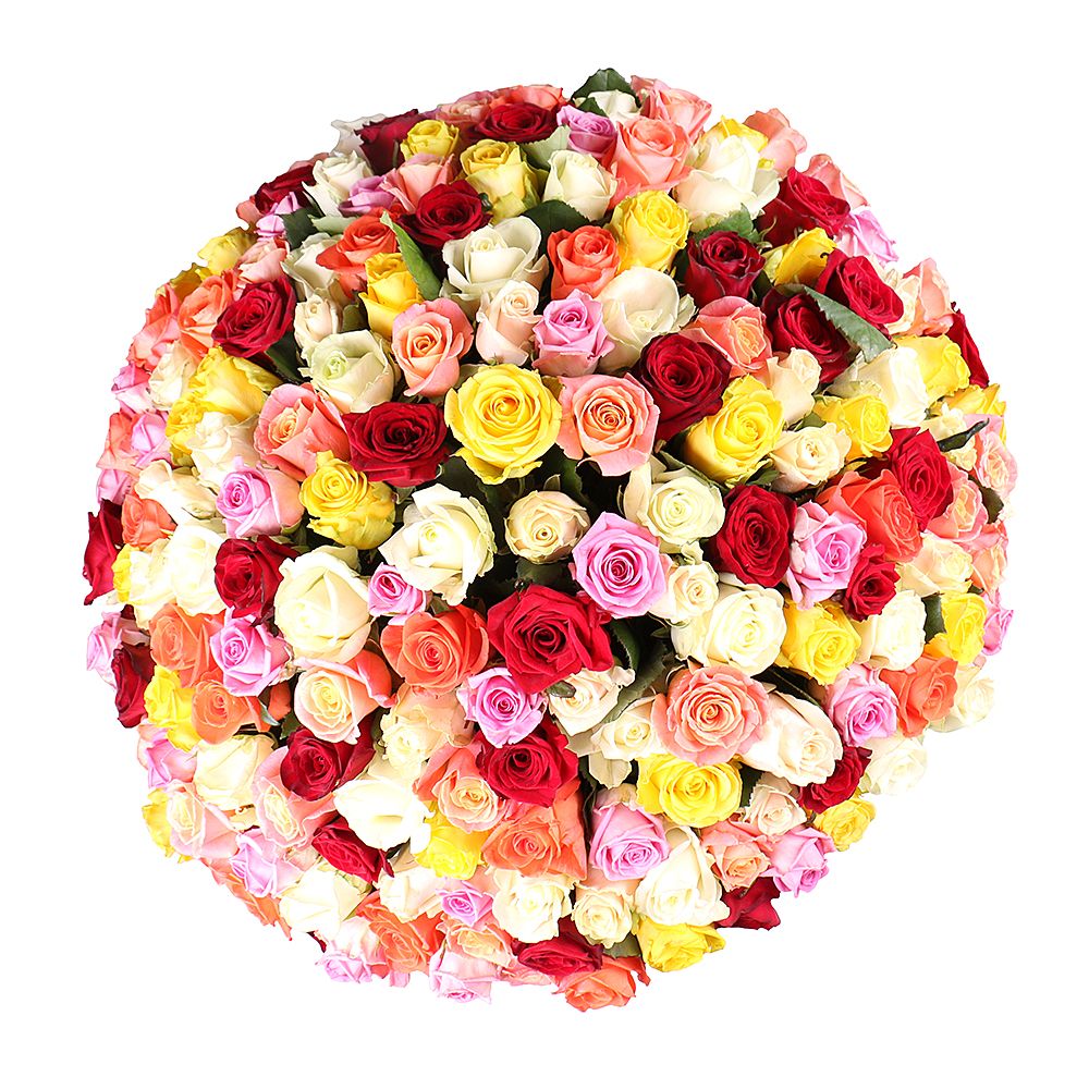 Шикарний букет квітів 175 різнокольорових троянд Шикарний букет квітів 175 різнокольорових троянд