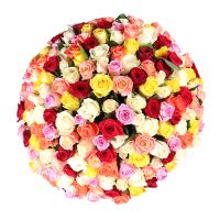 Шикарный букет цветов 175 разноцветных роз Мултан