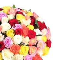 Шикарний букет квітів 175 різнокольорових троянд Арканзас