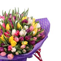 Of the 101 tulips Rybatchye
