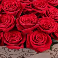 101 red roses Gran Prix Nord Huntingdon