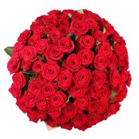 101 red roses Gran Prix Zhdanovka