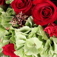  Bouquet Red dreams Haarlem
														