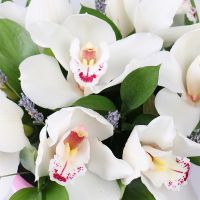 Композиция Нежность орхидей  Цукуба