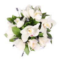 Flower box Tenderness of orchids Vladymerec