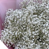 Bouquet of baby\'s breath Ryde