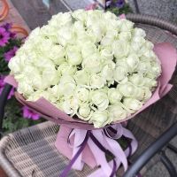 Букет 101 біла троянда Дрансфельд