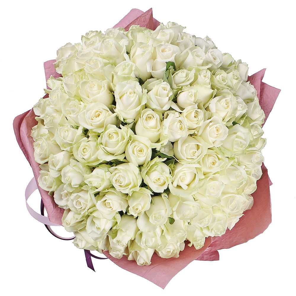 Bouquet 101 white roses Bouquet 101 white roses