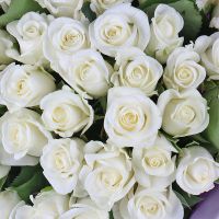 Bouquet 51 white roses Lens