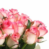 25 розовых роз Цваненбург