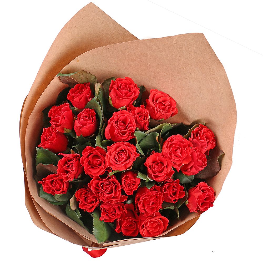 25 red roses 25 red roses