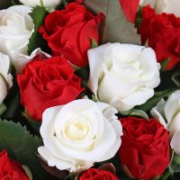 25 красных и белых роз Терни