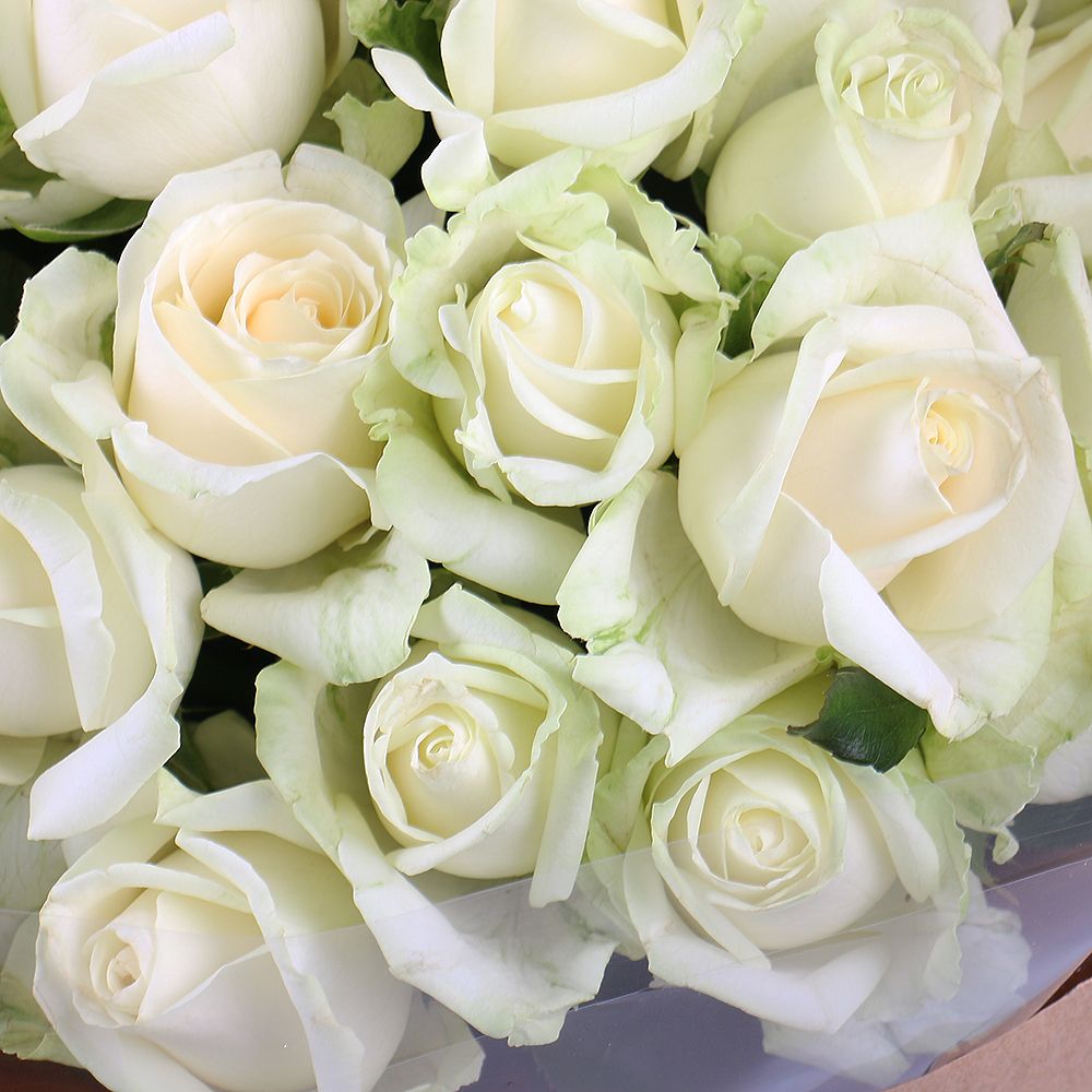 25 білих троянд крафт