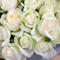 25 white roses craft Combo