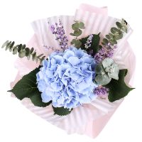 Bouquet With hydrangea Bakersfield
                            