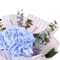 Bouquet With hydrangea Shodnytsia
                            