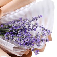  Bouquet of lavender The Dnepropetrovsk area
                            