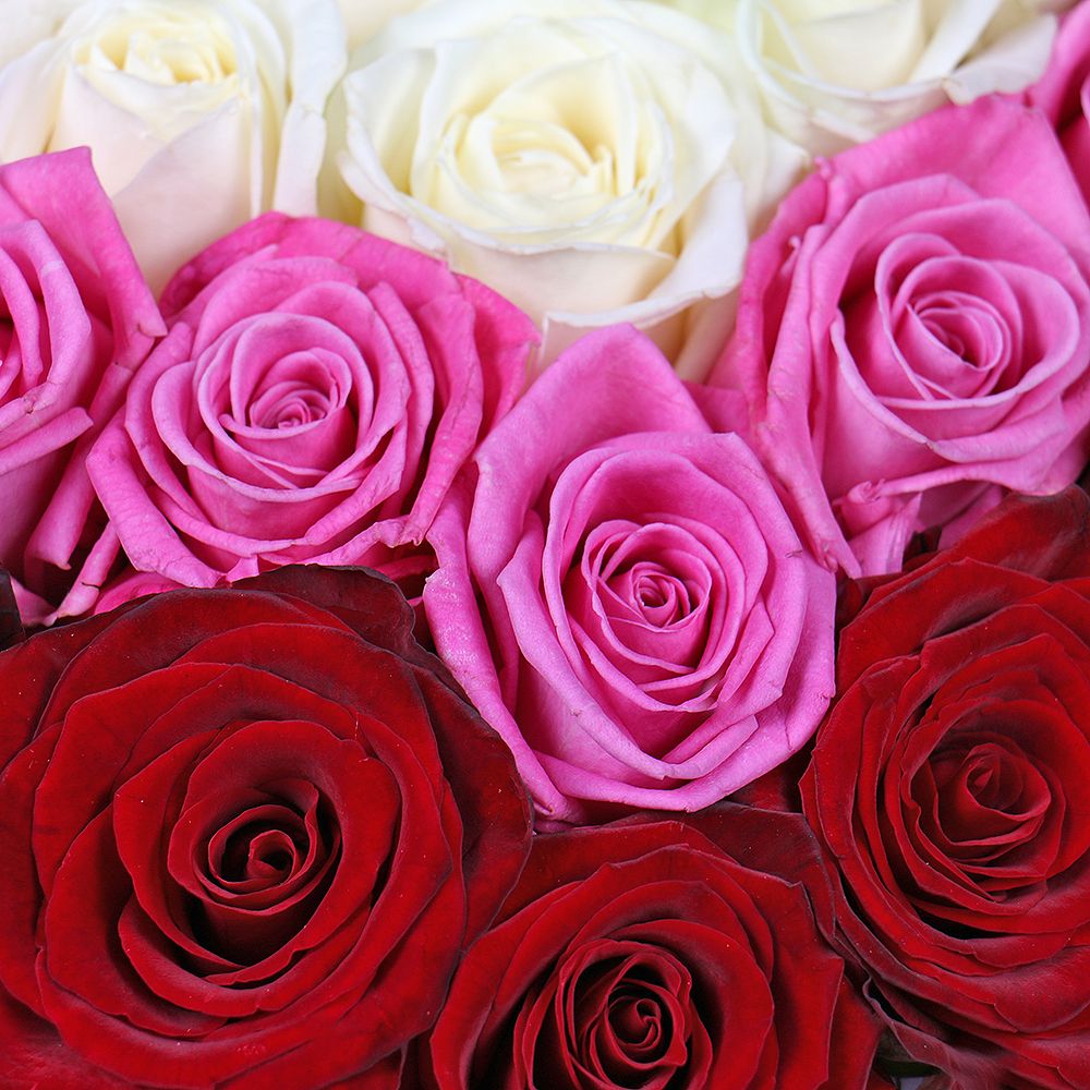 Разноцветное сердце из роз Разноцветное сердце из роз