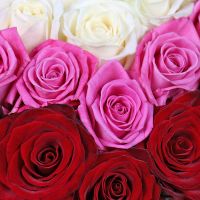 Разноцветное сердце из роз Баложи