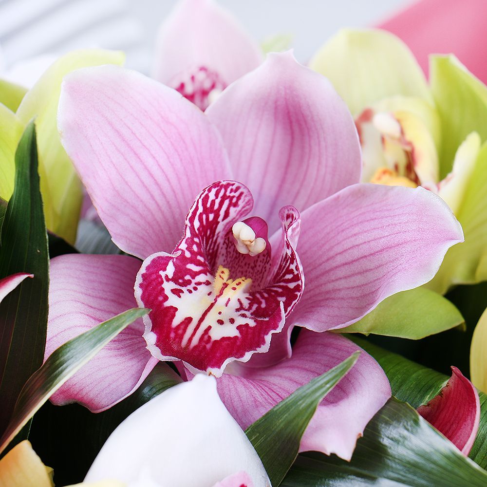 Букет цветов Разноцветные орхидеи Букет цветов Разноцветные орхидеи