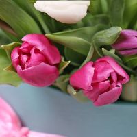 31 Tulips in a box Turov
