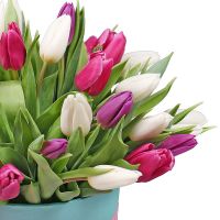 31 Tulips in a box Nikolaevka (Odessa)