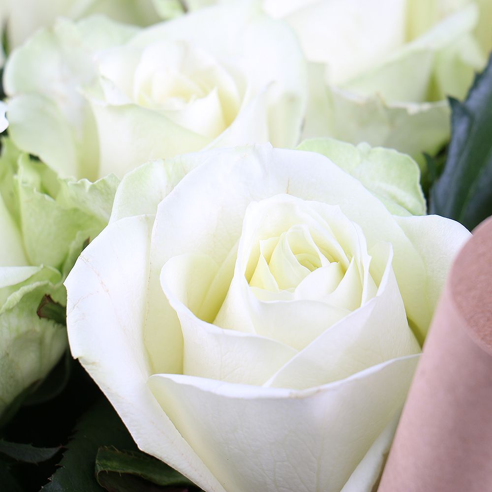 Букет з 9 білих троянд