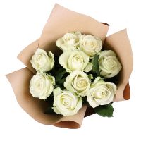 9 white roses Tacoma
