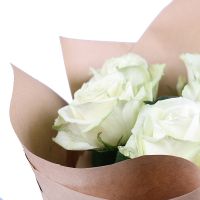 9 white roses Trapani