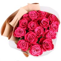 15 hot pink roses Kiev - Svyatoshinskiy district