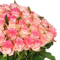 101 бело-розовая роза Вижница