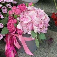  Bouquet Raspberry sorbet Limerick
														