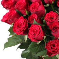 101 imported red roses Pforzheim