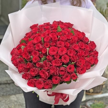 Promo! 101 red roses Iserlia (Italy)