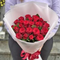Promo! 25 red roses Nizhnie Holohory