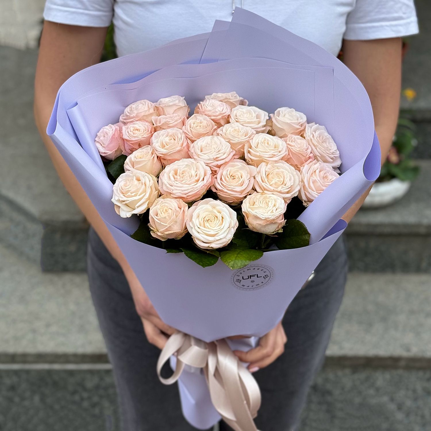 Promo! 25 creamy roses Troyan