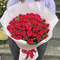 Promo! 51 red roses Lehrte