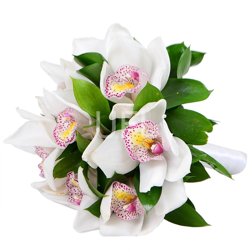 White Orchid wedding bouquet Kiev