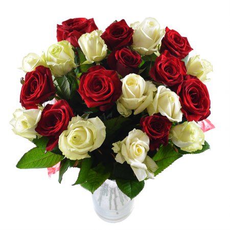 Белые и красные розы Ванта