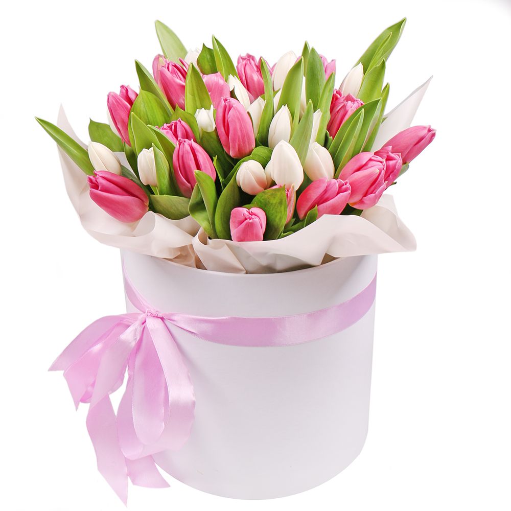 Pink and white tulips in a box Pink and white tulips in a box