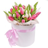 Pink and white tulips in a box Petropavlovskaya Borshchagovka